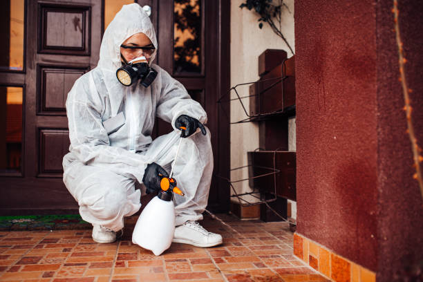 Attic and Crawl Space Rodent Treatment in Genola