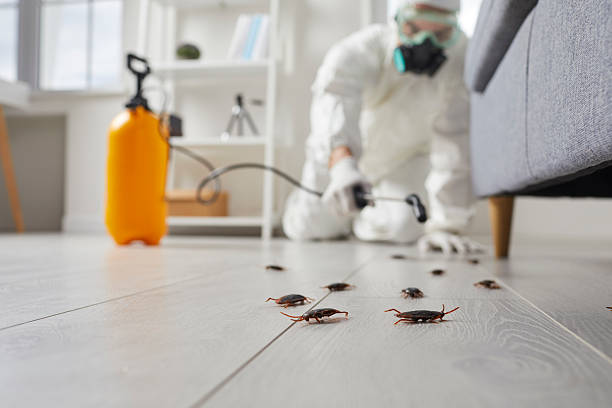 Commercial Rodent Management in Genola